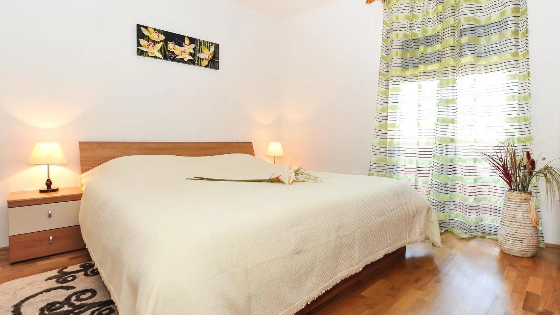 Apartments Lotta Zadar Croatia